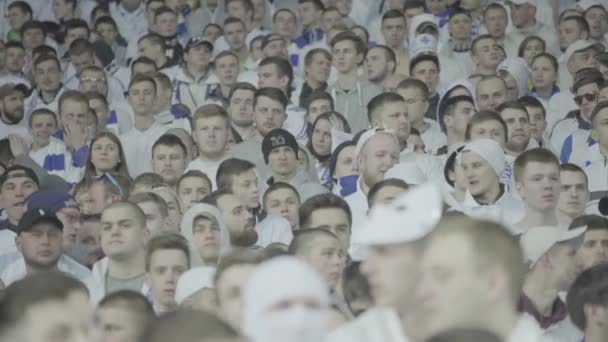 Maç boyunca stadyumdaki taraftarlar. Olimpiyskiy. Kyiv. Ukrayna. — Stok video