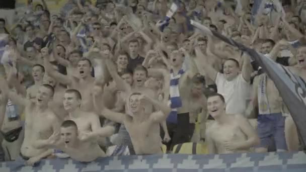 Aficionados en el estadio durante el partido. Olimpiyskiy. Kiev. Ucrania. — Vídeos de Stock