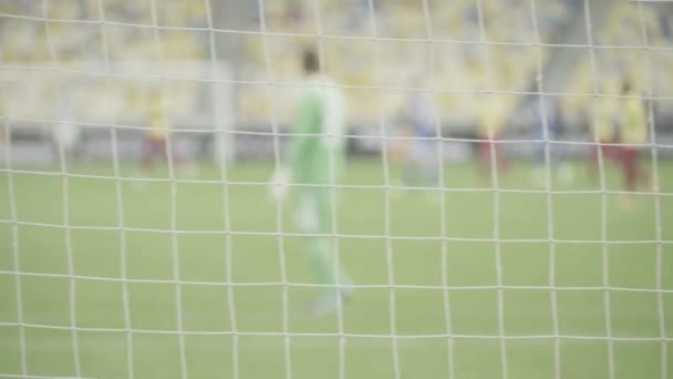 Torhüter Alexander Schaufkowski während eines Fußballspiels. olimpiyskiy. kyiv. Ukraine. — Stockvideo
