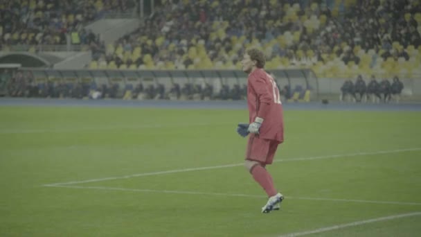 Goleiro durante um jogo de futebol. Olimpiyskiy. Kiev. Ucrânia . — Vídeo de Stock