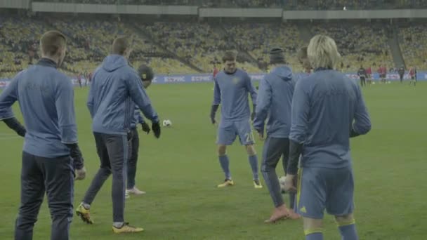 Allenamento giocatori di calcio allo stadio. Riscaldati. Olimpiyskiy. Kiev. Ucraina — Video Stock
