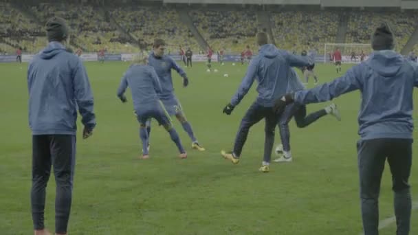 Stadyumda futbol oyuncularını çalıştırmak. Isınmaya başla. Olimpiyskiy. Kyiv. Ukrayna — Stok video