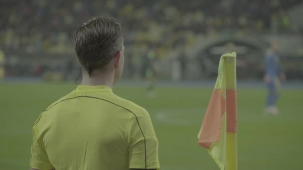 Arbitro maschile durante una partita di calcio . — Video Stock