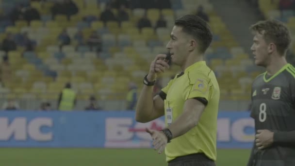 Mannelijke scheidsrechter tijdens een voetbalwedstrijd. Langzame beweging — Stockvideo