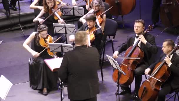 Der männliche Dirigent dirigiert das Orchester. — Stockvideo