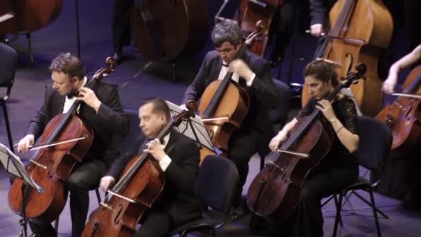 Hudebníci hrají v orchestru na pódiu. Kyjev. Ukrajina — Stock video