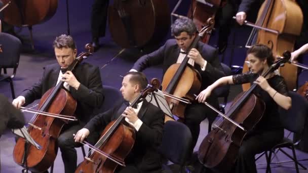 Музиканти грають в оркестрі на сцені. Київ. Україна — стокове відео