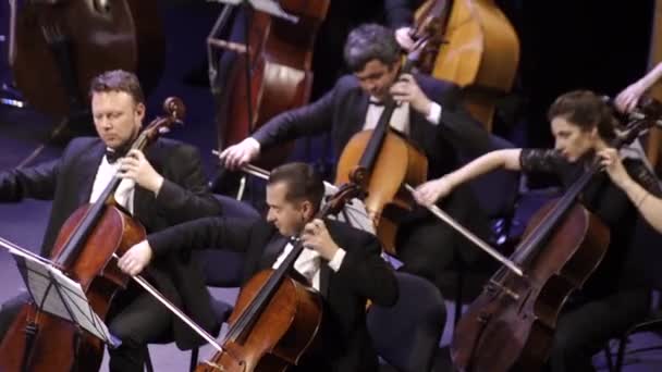I musicisti suonano nell'orchestra sul palco. Kiev. Ucraina — Video Stock