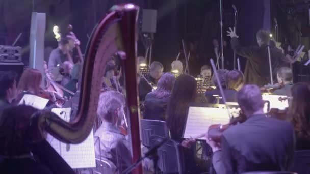 De mannelijke man dirigent dirigeert het orkest. — Stockvideo