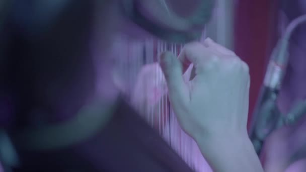 Ta holka hraje na harfu. Detailní záběr — Stock video