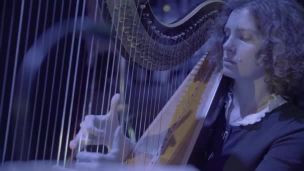 Ta holka hraje na harfu. Detailní záběr — Stock video