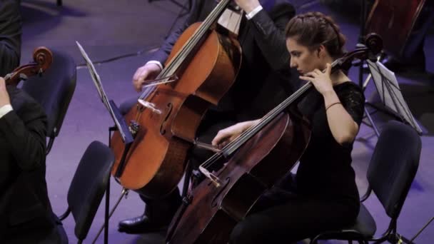 Musisi bermain di orkestra di atas panggung. Kyiv. Ukraina — Stok Video