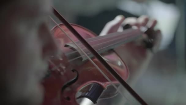 Primo piano del violino. — Video Stock