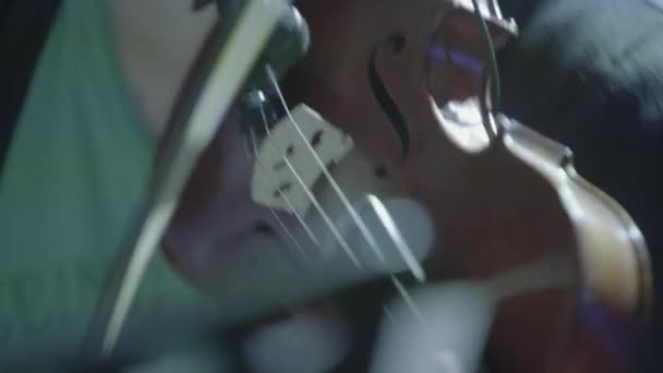 Närbild av att spela fiol. — Stockvideo