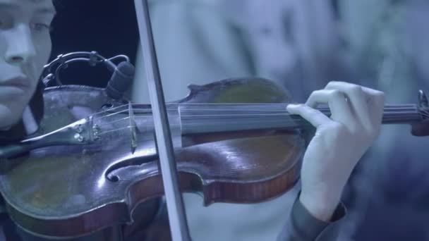 Primo piano del violino. — Video Stock