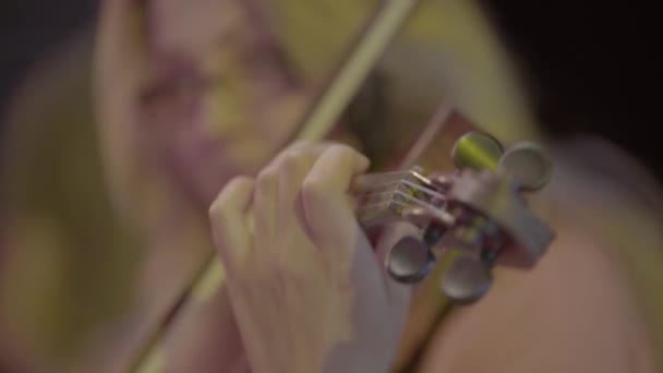 Vrouwelijke violist die viool speelt. Kiev. Oekraïne — Stockvideo