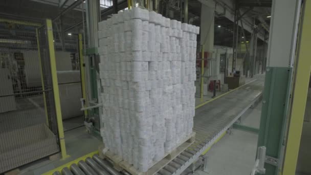 Et fungerende transportbånd på en papirfabrik. Teknologi. Fabrikken. Kiev. Ukraine. – Stock-video