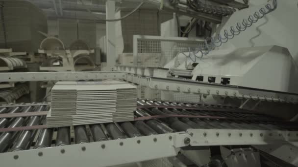 Pracující dopravník v papírně. Technologie. Továrna. Kyjev. Ukrajina. — Stock video