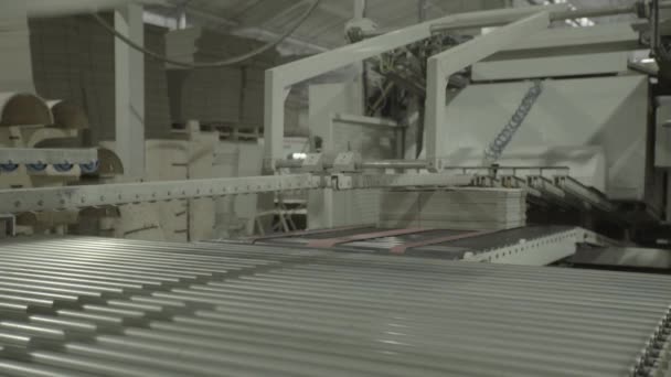 A working conveyor in a paper mill. Technology. Factory. Kyiv. Ukraine. — Stock Video
