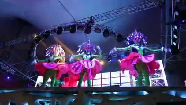 Girl on stage during a party. Festival. Disco. Joy. Fun. — Stock Video