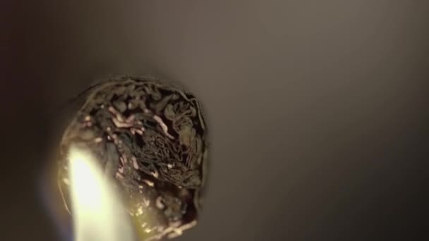 Cigare dans la bouche des fumeurs gros plan. Fumer 