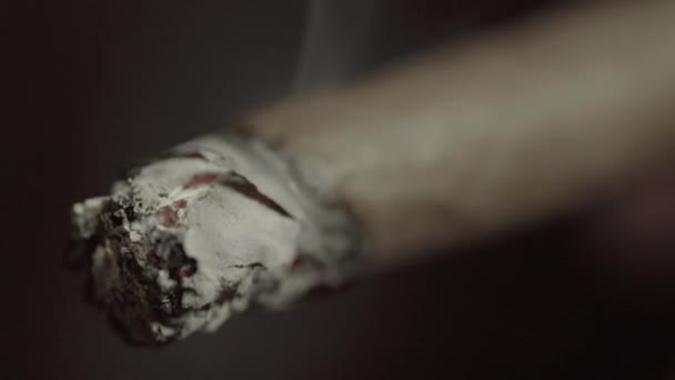Zigarre im Rauchermund aus nächster Nähe. Rauchen — Stockvideo