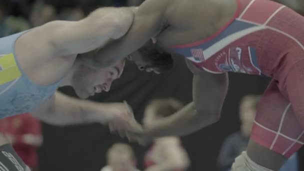 Lutadores durante a competição de wrestling. Kiev. Ucrânia — Vídeo de Stock