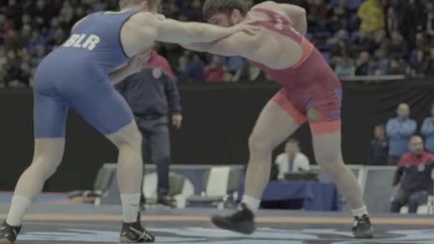 Wrestlers during the wrestling competition. Kyiv. Ukraine — ストック動画