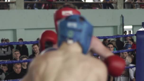 Kickboxing. A luta no ringue. Competição. Kiev. Ucrânia. Movimento lento — Vídeo de Stock