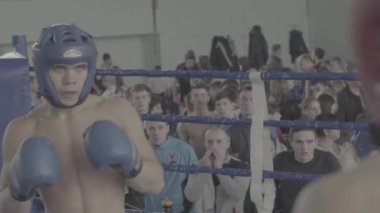 Kik boks. Ringdeki kavga. Rekabet. Kyiv. Ukrayna. Yavaş çekim