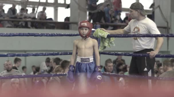 Kickboxing. Giovane combattente in un angolo del ring. Al rallentatore. Kiev. Ucraina — Video Stock