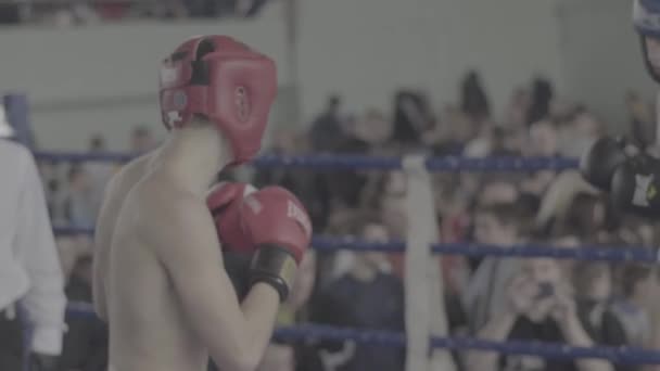 Kickboxing. Le combat sur le ring. La concurrence. Kiev. Ukraine. Mouvement lent — Video