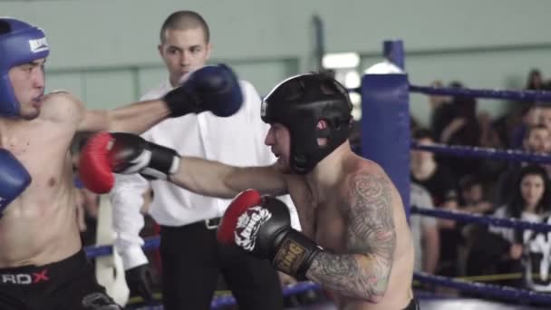 Kickbox. Ta rvačka v ringu. Soutěž. Kyjev. Ukrajina. Zpomalený pohyb — Stock video