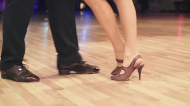 Tango dancers feet while dancing close-up — Stock Video