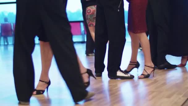 Tango dancers feet while dancing close-up — Stock Video