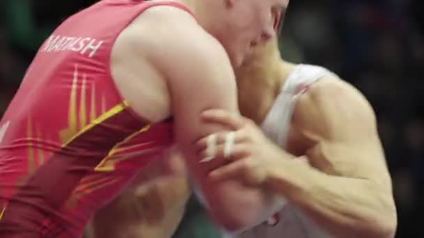 Wrestlers during the wrestling competition. Kyiv. Ukraine — ストック動画