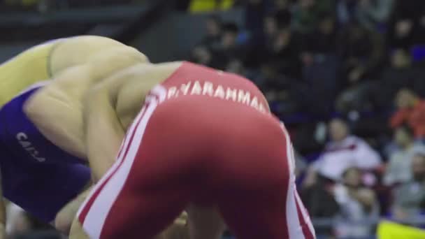 Luchadores durante la competencia de lucha libre. Kiev. Ucrania — Vídeo de stock