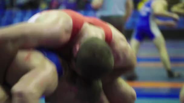 摔跤比赛中的摔角手 Kyiv 。 乌克兰 — 图库视频影像