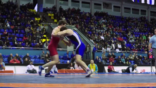 Wrestlers during the wrestling competition. Kyiv. Ukraine — ストック動画