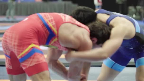 Wrestlers during the wrestling competition. Kyiv. Ukraine — ストック動画