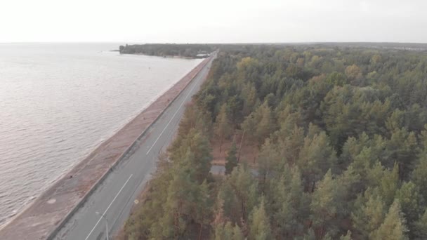 Das Ufer des Kiewer Stausees. Antenne. Ukraine. Dnipro — Stockvideo