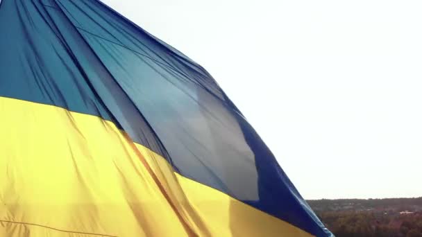 Підвищення українського прапора. Повітря. Київ. Україна — стокове відео