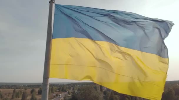 Ukrainska flaggan närbild. Flygplan. Kiev. Ukraina — Stockvideo