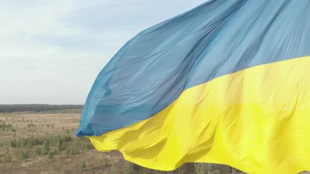 Bandeira ucraniana close-up. Aéreo. Kiev. Ucrânia — Vídeo de Stock