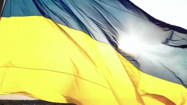 ウクライナの旗を閉じる。空中だ。キエフ。ウクライナ — ストック動画