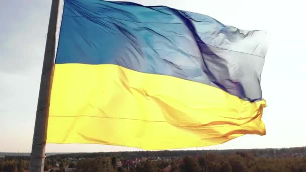 Primo piano della bandiera ucraina. Aereo. Kiev. Ucraina — Video Stock