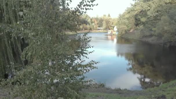 니 브 키 공원에 호수가 있어요. Kyiv. 우크라이나. 공중 촬영 — 비디오