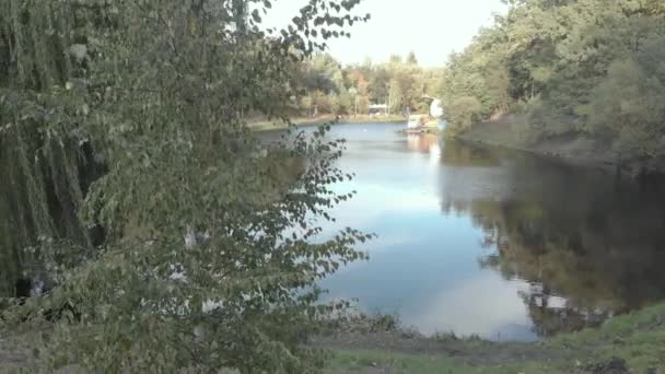 Lago no parque Nyvky. Kiev. Ucrânia. Vista aérea — Vídeo de Stock