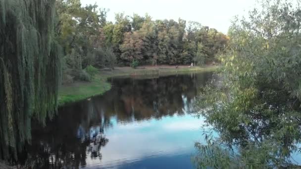 니 브 키 공원에 호수가 있어요. Kyiv. 우크라이나. 공중 촬영 — 비디오