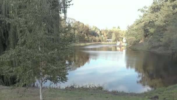 Jezioro w parku Nyvky. Kijów. Ukraina. Widok z lotu ptaka — Wideo stockowe